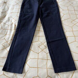 Zara Basic Navy Blue Ankle Pants - Size 02